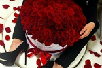 Chaturbate aliessia - Flowers for me