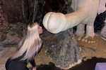 Chaturbate blush_mikki - Exclusive content - Mikki in the Sex-Museum