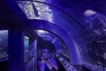 Chaturbate sabrina_cole - ☀️The Pleasure Under the Sea☀️